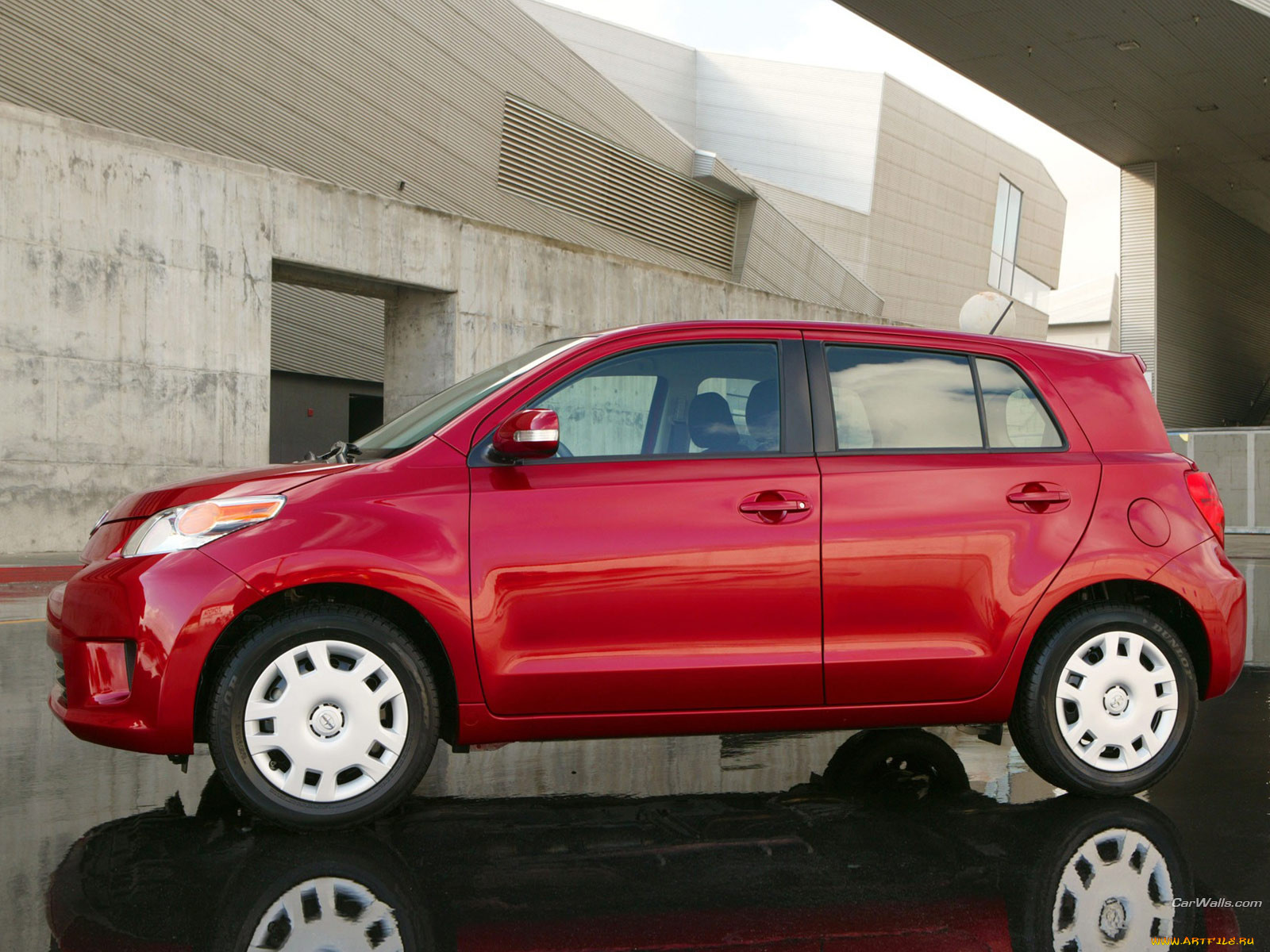 , scion